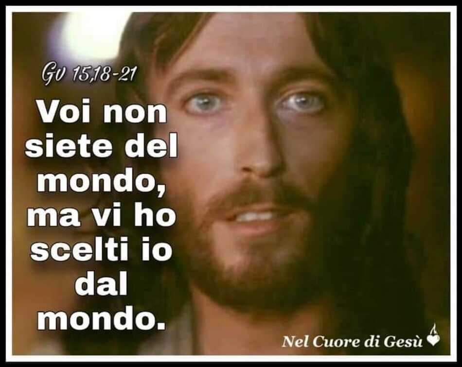 Voi non siete del mondo, ma vi ho scelti io dal mondo. (Giovanni 15,18-21)