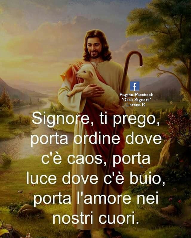 Signore, ti prego, porta ordine dove c'è caos, porta luce dove c'è buio, porta l'amore nei nostri cuori.