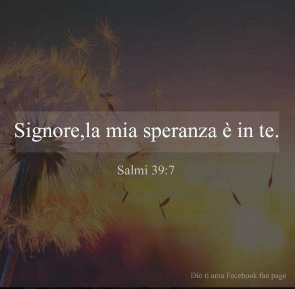 Signore, la mia speranza è in Te. (Salmo 39:7)