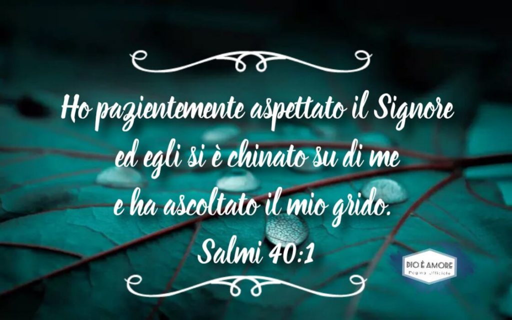 Ho pazientemente aspettato il Signore ed Egli si è chinato su di me e ha ascoltato il mio grido. (Salmi 40:1)