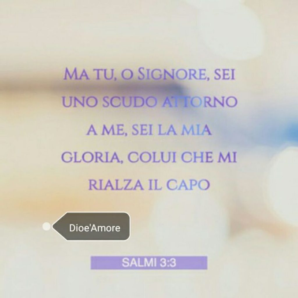 Ma Tu, o Signore, sei uno scudo attorno a me, sei la mia gloria, Colui che mi rialza il capo. (Salmi 3:3)