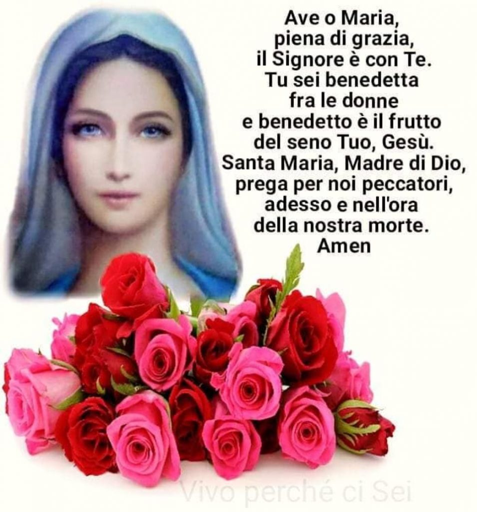 Ave o Maria, piena di grazia, il Signore è con Te. Tu sei benedetta fra le donne e benedetto è il frutto del tuo seno, Gesù. Santa Maria, Madre di Dio, prega per noi peccatori, adesso e nell'ora della nostra morte. Amen