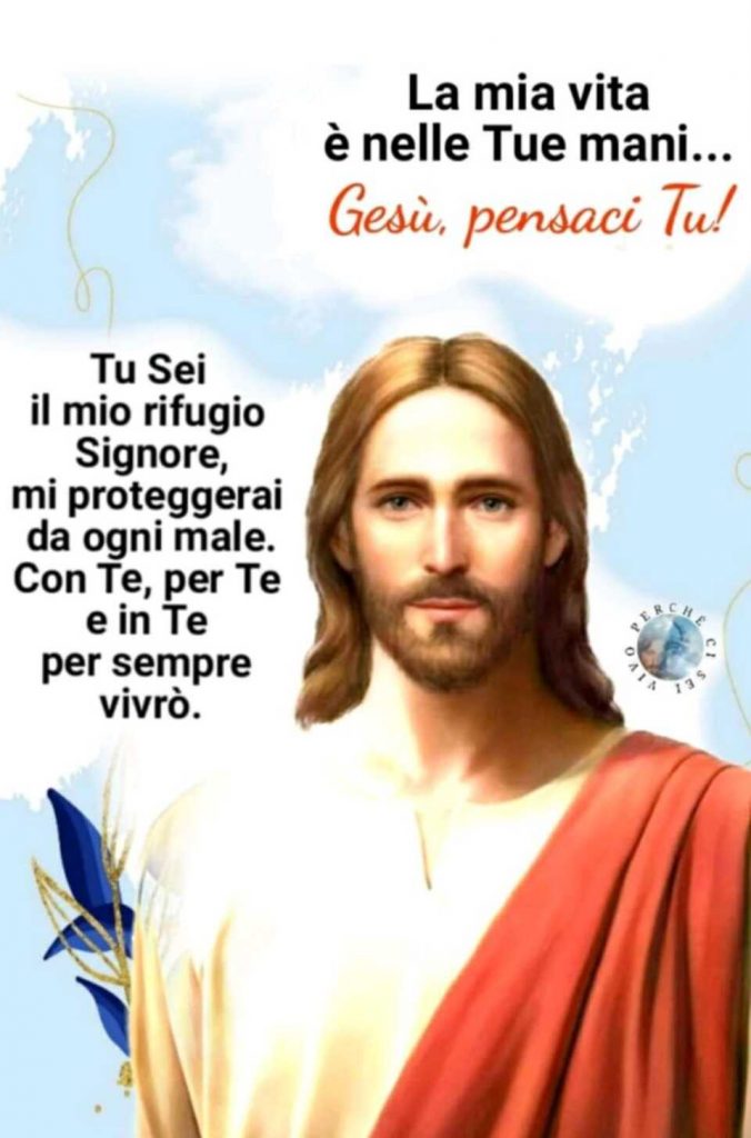 La mia vita è nelle Tue mani... Gesù, pensaci Tu! Tu sei il mio rifugio Signore, mi proteggerai da ogni male. Con Te, per Te e in Te per sempre vivrò.