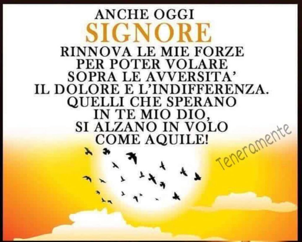 Anche oggi Signore rinnova le mie forze per poter volare sopra le avversità, il dolore e l'indifferenza. Quelli che sperano in Te mio Dio, si alzano in volo come aquile!