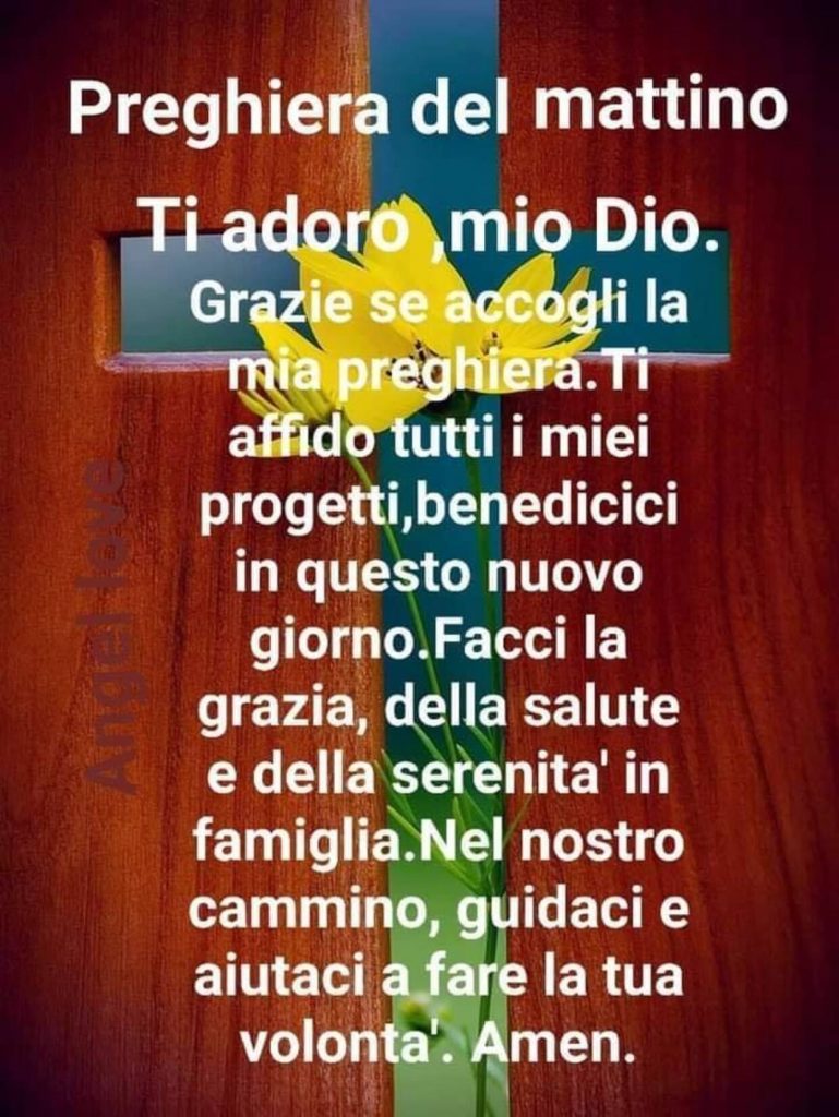 Ti adoro mio Dio. Grazie se accogli la mia preghiera. Ti affido tutti i miei progetti, benedicici in questo nuovo giorno. Facci la grazia della salute e della serenità... Amen