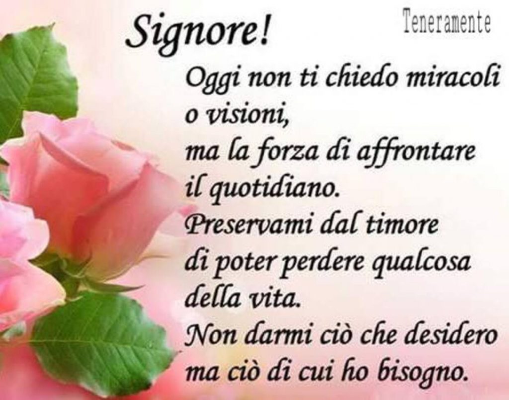 Signore! Oggi non ti chiedo miracoli o visioni, ma la forza di affrontare il quotidiano. Preservami dal timore di poter perdere qualcosa della vita. Non darmi ciò che desidero, ma ciò di cui ho bisogno.