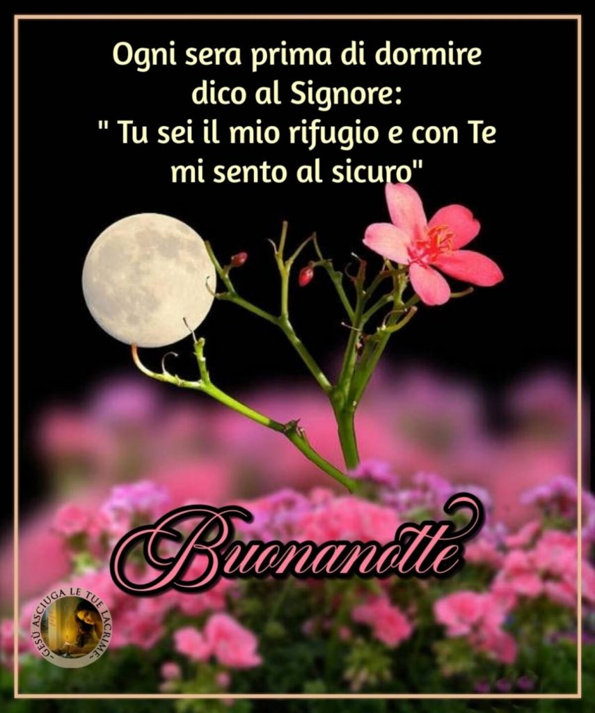 Ogni sera, prima di dormire dico al Signore: "Tu sei il mio rifugio e con Te mi sento al sicuro." Buonanotte