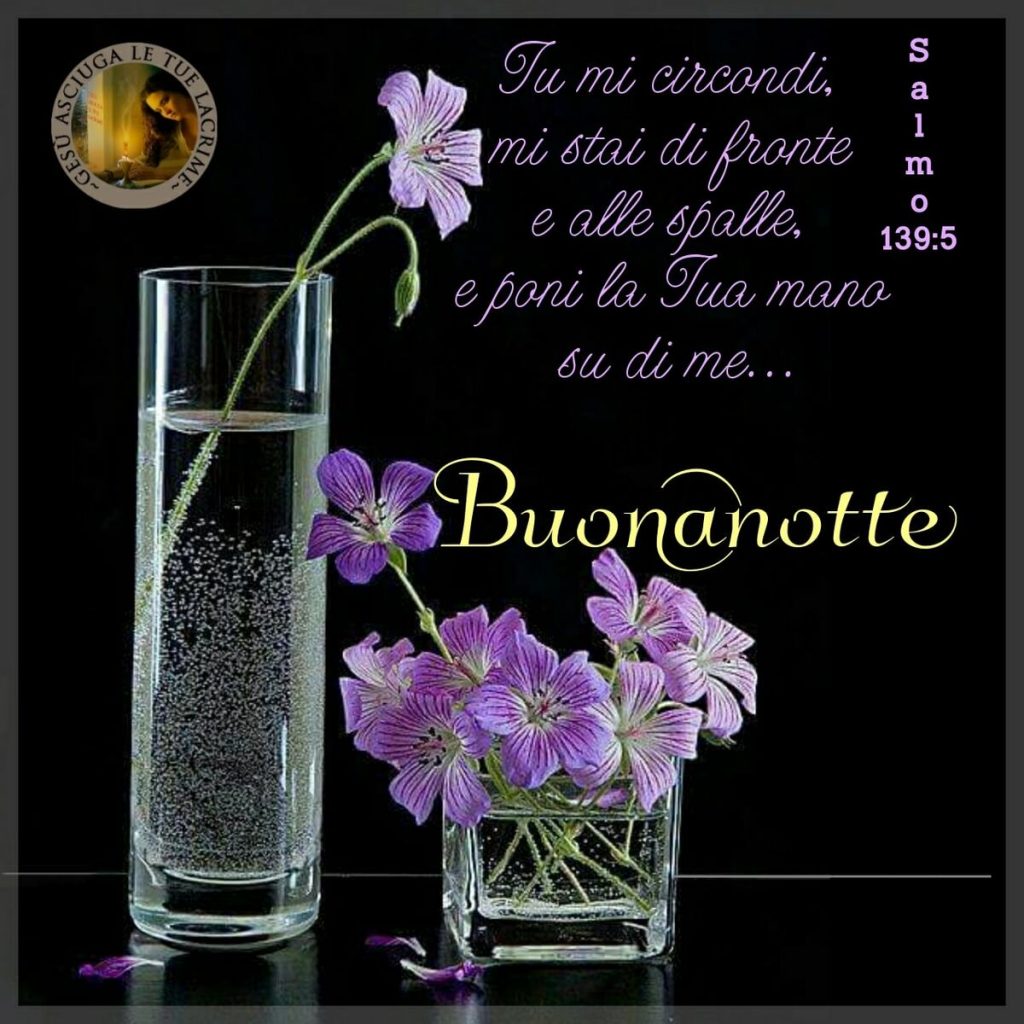 Tu mi circondi, mi stai di fronte e alle spalle, e poni la Tua mano su di me... Buonanotte