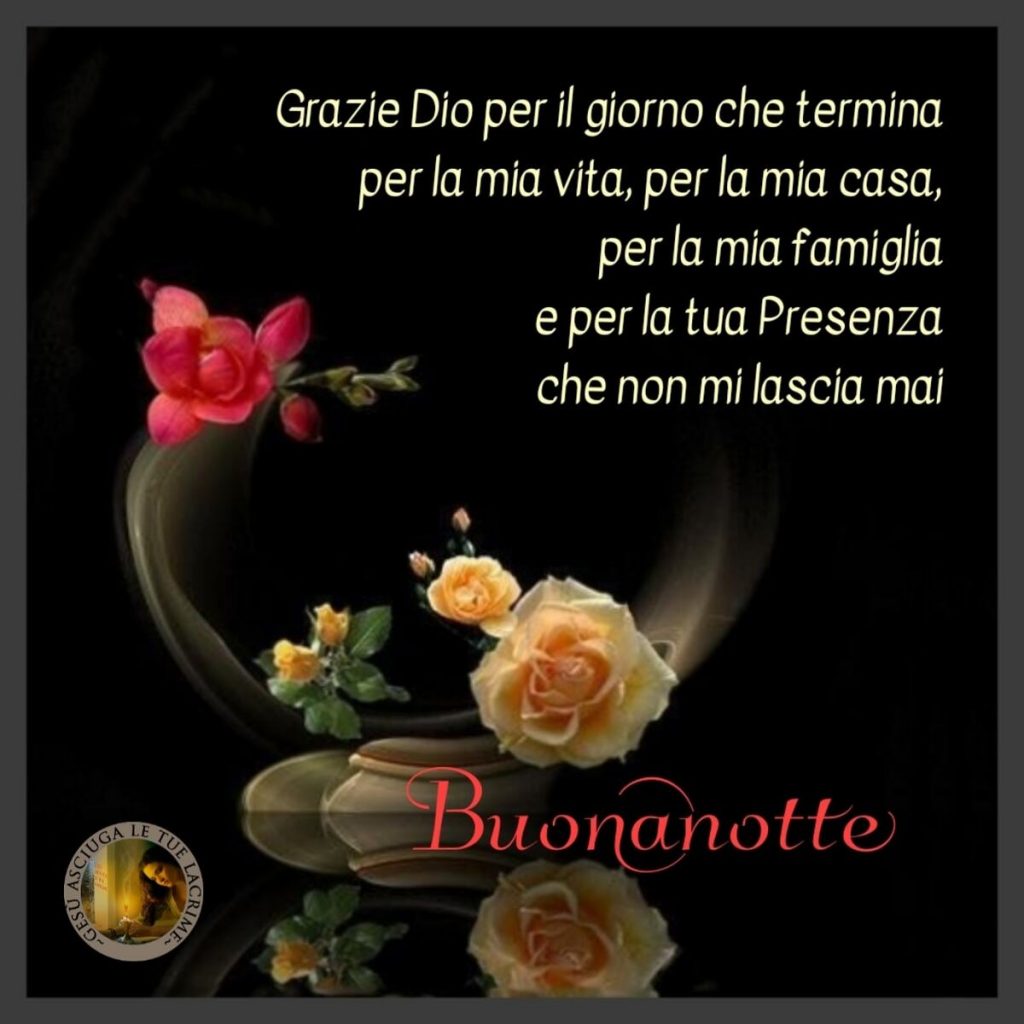 Grazie Dio per il giorno che termina, per la mia vita, per la mia casa, per la mia famiglia e per la Tua Presenza che non mi lascia mai. Buonanotte