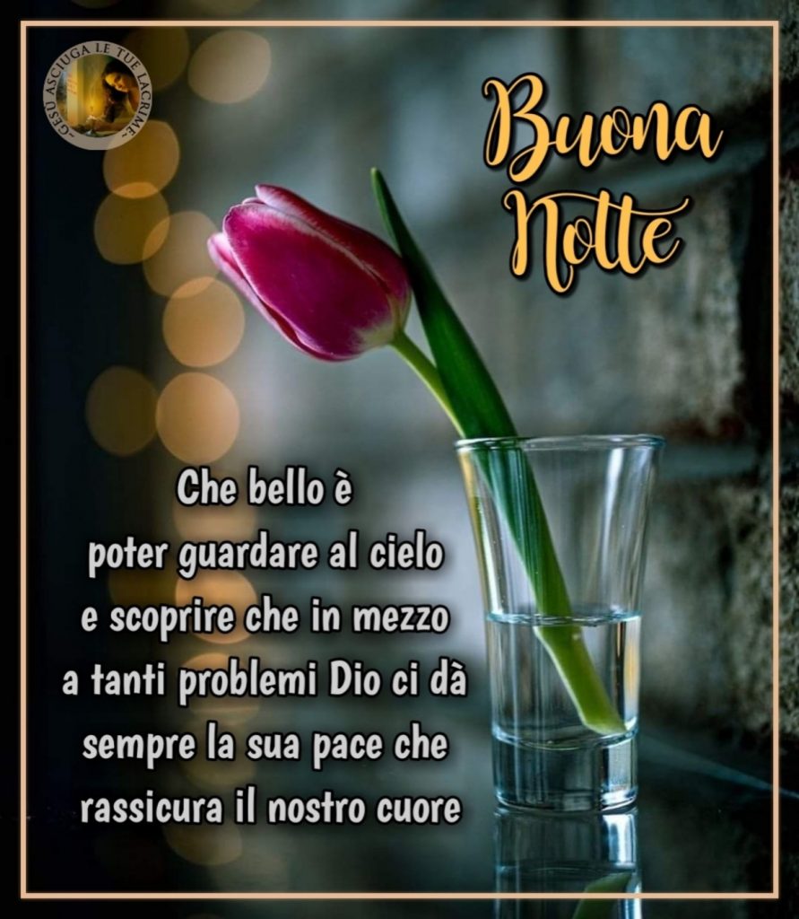 Buona notte. Che bello è poter guardare al cielo e scoprire che in mezzo a tanti problemi Dio ci dà sempre la Sua pace che rassicura il nostro cuore.