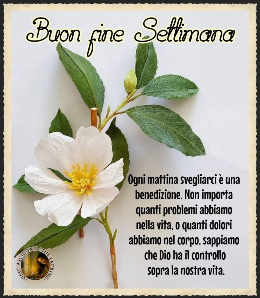 Buon fine settimana. Ogni mattina svegliarci è una benedizione. Non importa quanti problemi abbiamo nella vita, o quanti dolori abbiamo nel corpo, sappiamo che Dio ha il controllo sopra la nostra vita. (Gesù asciuga le tue lacrime)
