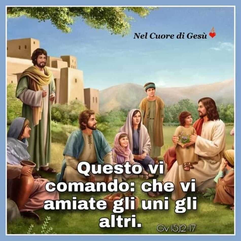 Questo vi comando: che vi amiate gli uni agli altri. (Giovanni 15,12-17)