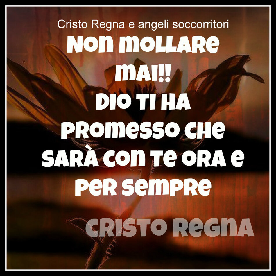 Non mollare mai!!! Dio ti ha promesso che sarà con te ora e per sempre. (Cristo Regna e Angeli soccorritori)