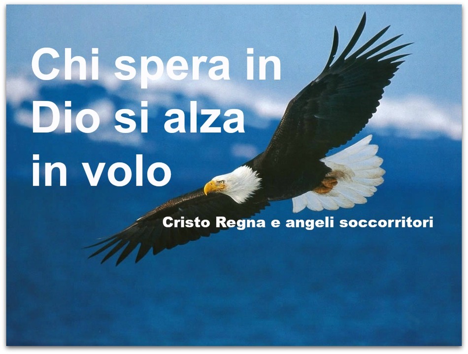 Chi spera in Dio si alza in volo.