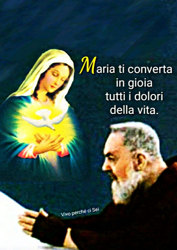 Maria ti converta in gioia tutti i dolori della vita. (Vivo perché ci sei)