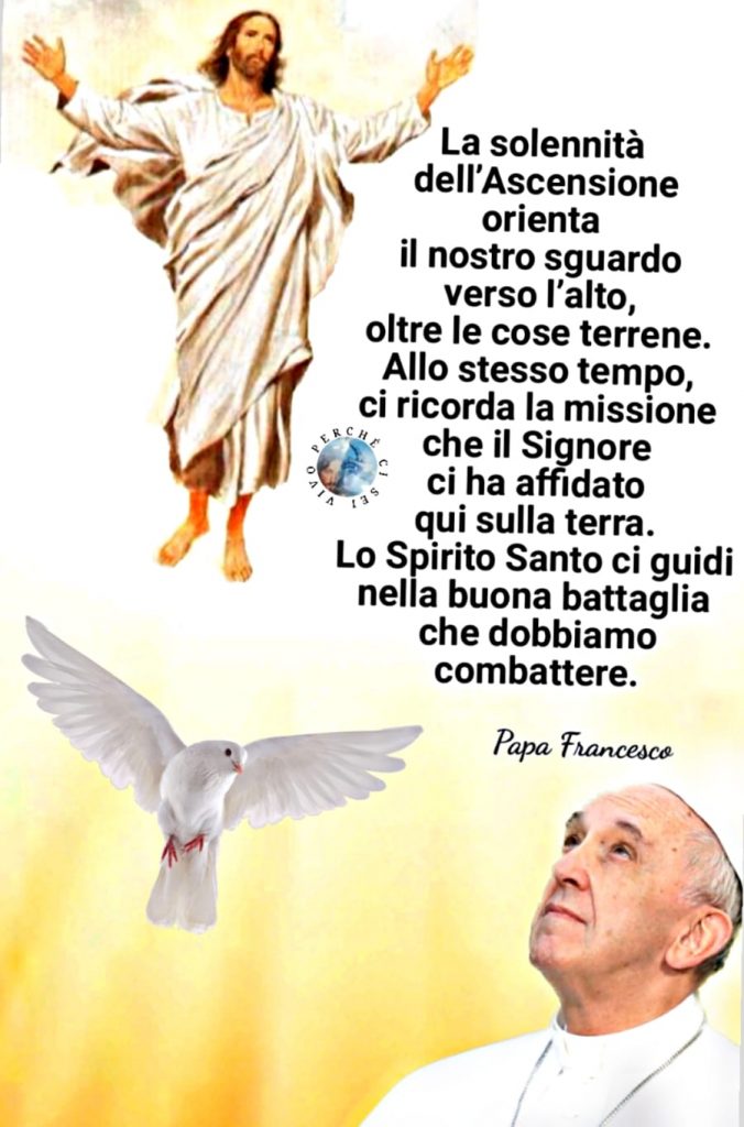 "La solennità dell'Ascensione orienta il nostro sguardo verso l'alto, oltre le cose terrene. Allo stesso tempo, ci ricorda la missione che il Signore ci ha affidato sulla terra. Lo Spirito Santo ci guidi nella buona battaglia che dobbiamo combattere."