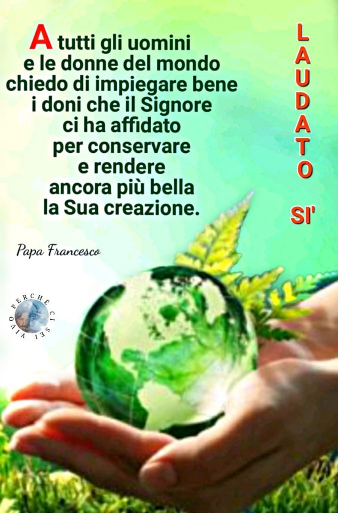 "A tutti gli uomini e le donne del mondo chiedo di impiegare bene i doni che il Signore ci ha affidato per conservare e rendere ancora più bella la Sua creazione." (Papa Francesco)