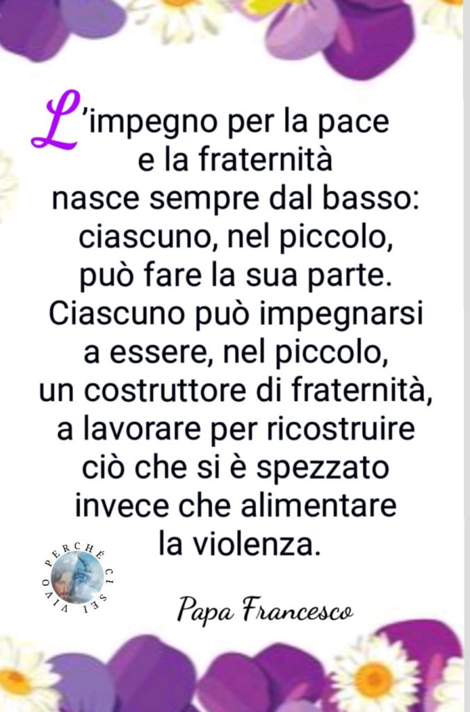 "L'impegno per la pace e la fraternità nasce sempre dal basso: ciascuno, nel piccolo, può fare la sua parte..."