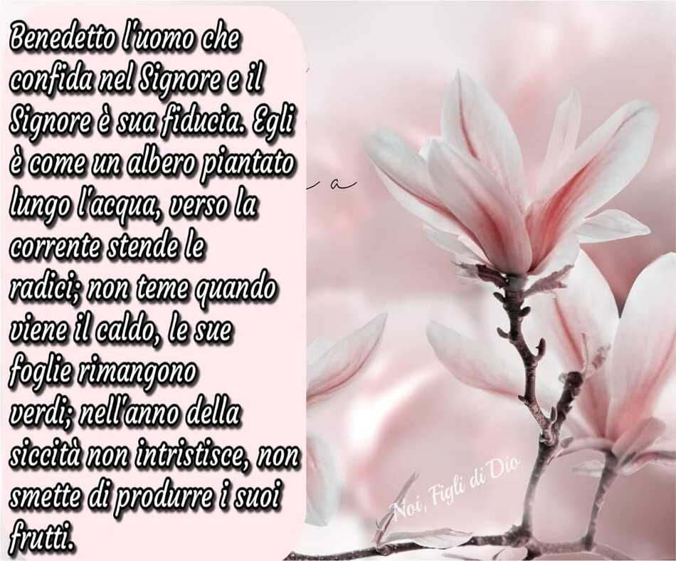 "Benedetto l'uomo che confida nel Signore e il Signore è sua fiducia. Egli è come un albero piantato lungo l'acqua, verso la corrente stende le radici..."