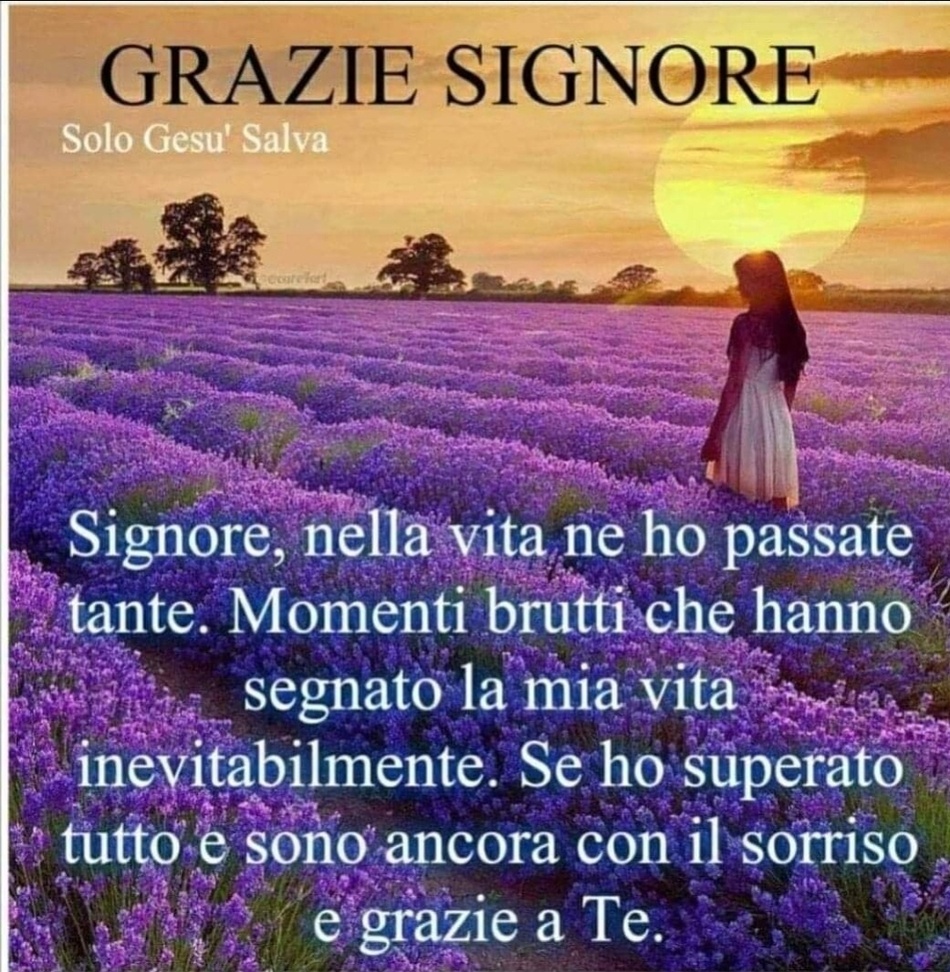 Grazie Signore. Signore, nella vita ne ho passate tante. Momenti brutti che hanno segnato la mia vita inevitabilmente. Se ho superato tutto e sono ancora con il sorriso è grazie a Te. (Solo Gesù Salva)