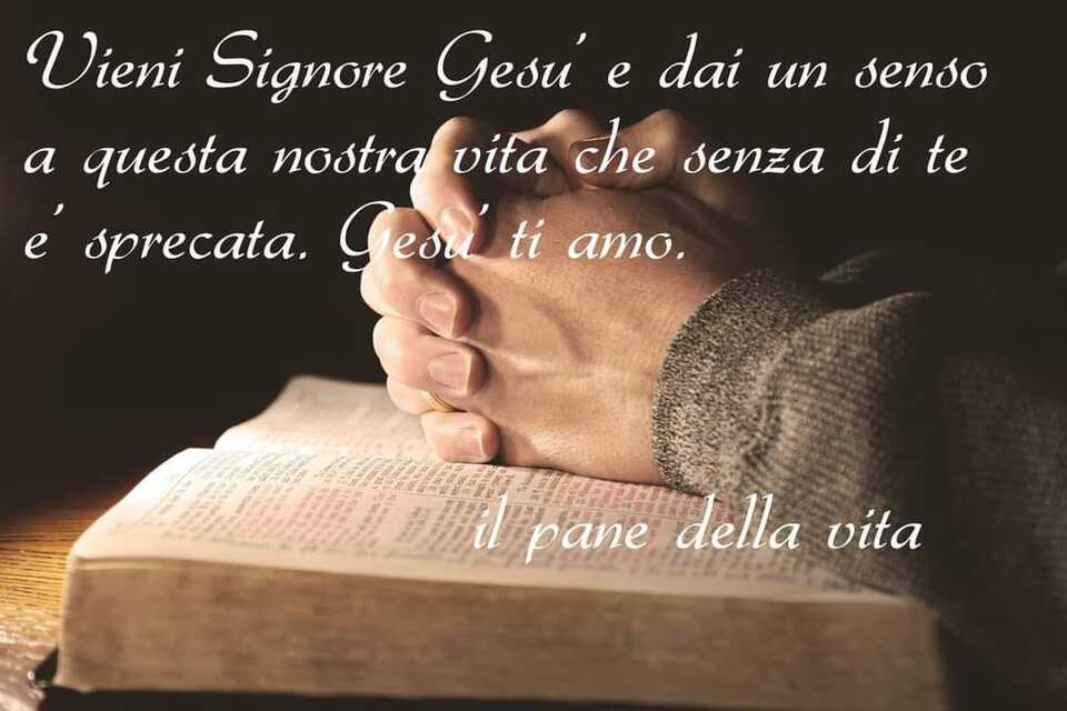 Vieni Signore Gesù e dai un senso a questa nostra vita che senza di te è sprecata. Gesù ti amo. (Il pane della vita)