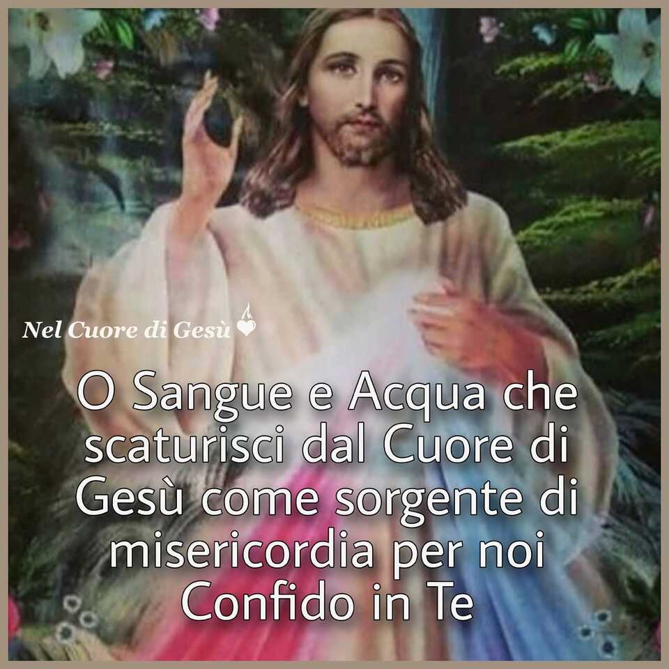 O Sangue e Acqua che scaturisci dal Cuore di Gesù come sorgente di misericordia per noi. Confido in Te