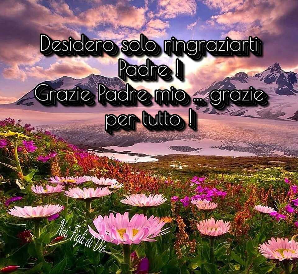 Desidero solo ringraziarti Padre ! Grazie Padre mio ... grazie per tutto ! (Noi, figli di Dio)