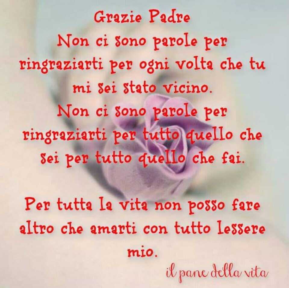 Grazie Padre. Non ci sono parole per ringraziarti per ogni volta che tu mi sei stato vicino. Non ci sono parole per ringraziarti per tutto quello che sei, per tutto quello che fai. Per tutta la vita non posso fare altro che amarti con tutto l'essere mio.