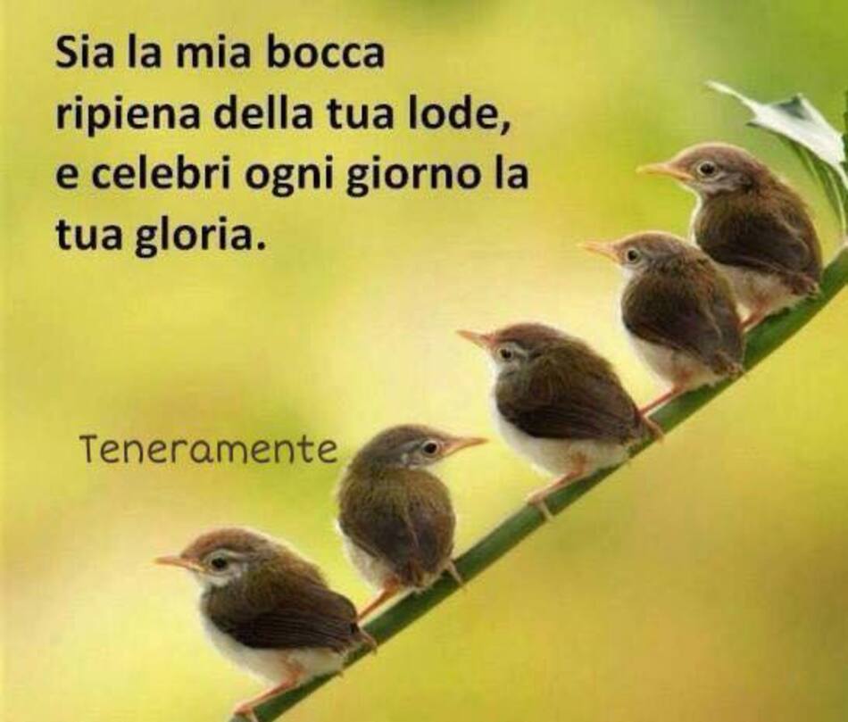 Sia la mia bocca ripiena della tua lode, e celebri ogni giorno la tua gloria. (Teneramente)