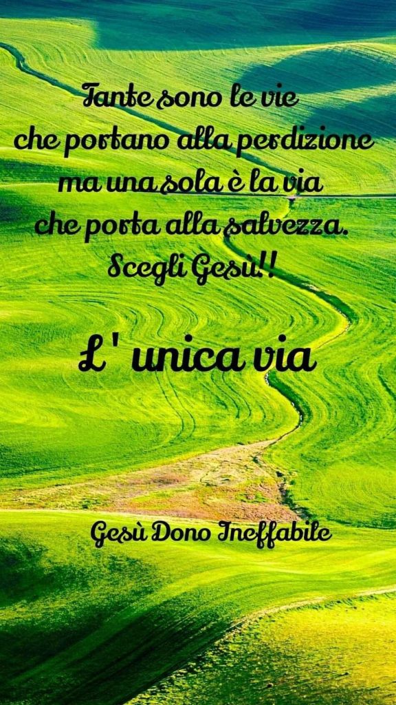 Tante sono le vie che portano alla perdizione ma una sola è la via che porta alla salvezza. Scegli Gesù!! È l'unica via. (Gesù dono ineffabile)