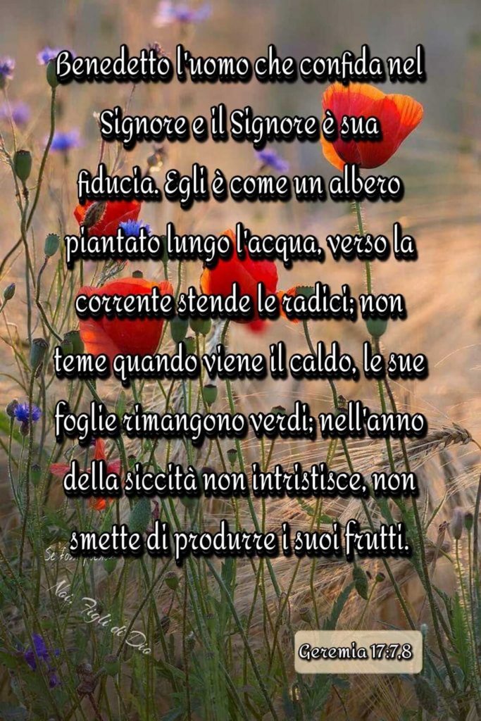 Benedetto l'uomo che confida nel Signore e il Signore è sua fiducia. Egli è come un albero piantato lungo l'acqua, verso la corrente stende le radici..... (Geremia 17:7,8)