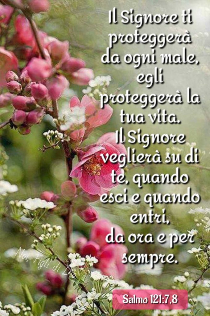 Il Signore ti protegga da ogni male, egli proteggerà la tua vita. Il Signore veglierà su di te, quando esci e quando entri, da ora per sempre. (Salmo 121:7,8)