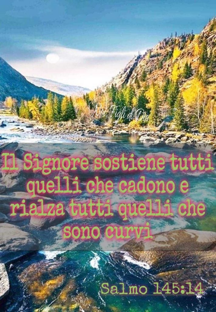 Il Signore sostiene tutti quelli che cadono e rialza tutti quelli che sono curvi. (Salmo 145:14)