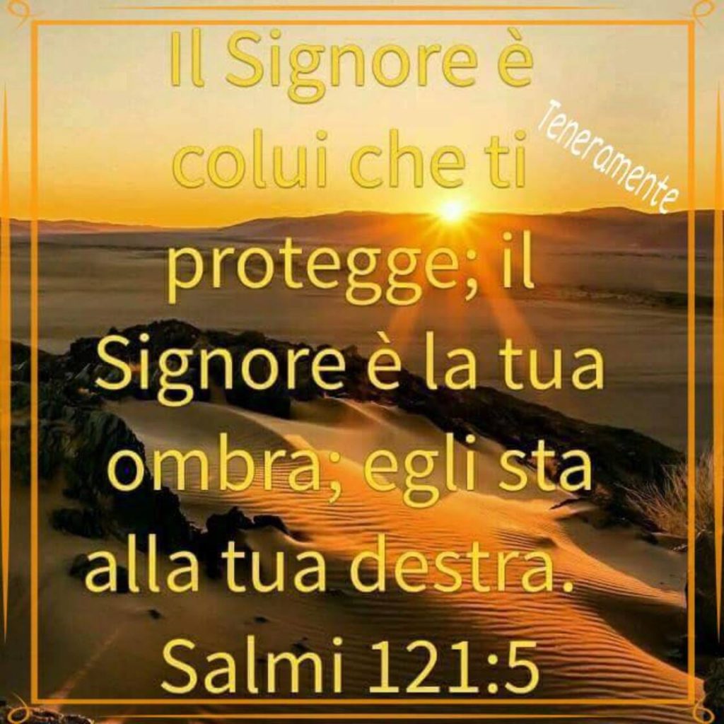 Il Signore è colui che ti protegge; il Signore è la tua ombra; egli sta alla tua destra. (Salmi 121:5)