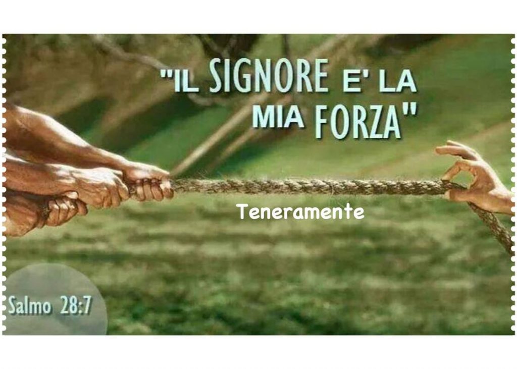 Il Signore è la mia forza. (Salmo 28:7)