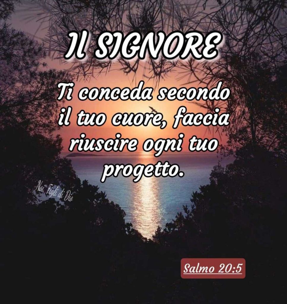 Il Signore ti conceda secondo il tuo cuore, faccia riuscire ogni tuo progetto. (Salmo 20:5)