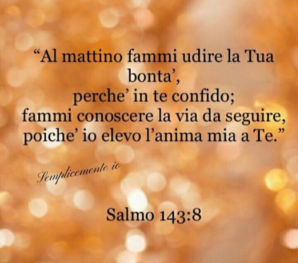 Al mattino fammi udire la tua bontà, perché in te confido; fammi conoscere la via da seguire, poiché io elevo l'anima mia a Te. (Salmo 143:8)