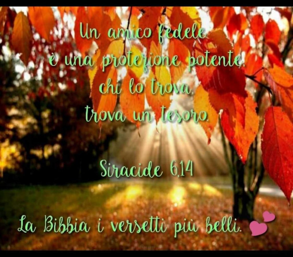 Un amico fedele è una protezione potente, chi lo trova, trova un tesoro. (Siracide 6,14)