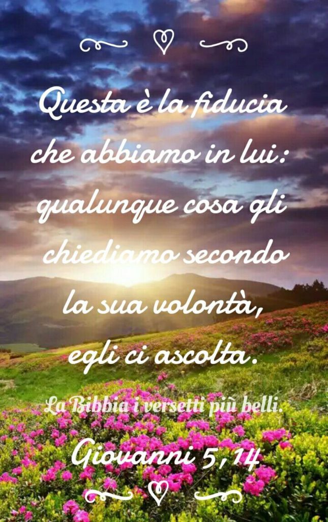 Questa è la fiducia che abbiamo in Lui: qualsiasi cosa gli chiediamo secondo la sua volontà, Egli ci ascolta. (Giovanni 5,14)