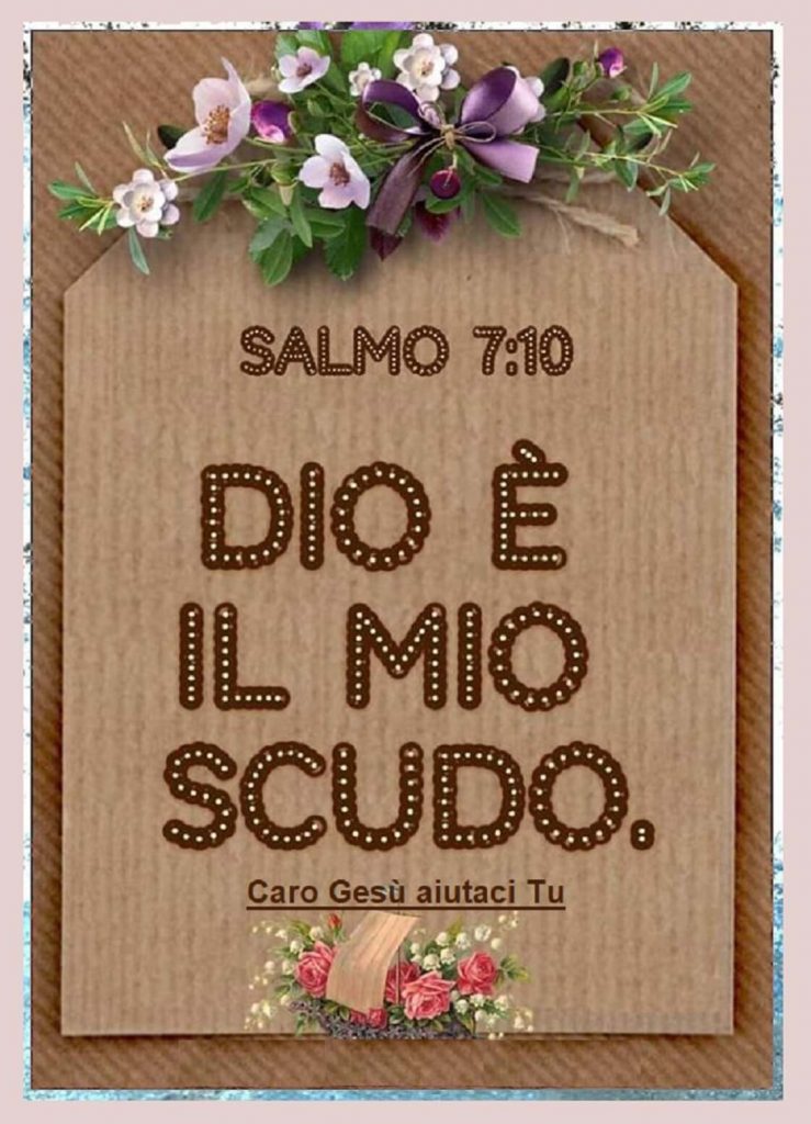 Dio è il mio scudo. (Salmo 7:10)