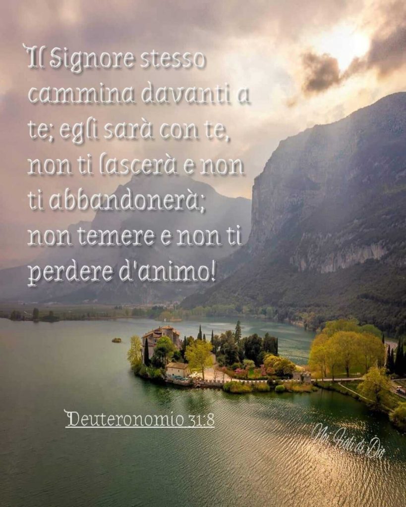 Il Signore stesso cammina davanti a te; Egli sarà con te, non ti lascerà e non ti abbandonerà; non temere e non ti perdere d'animo! (Deuteronomio 31:8)