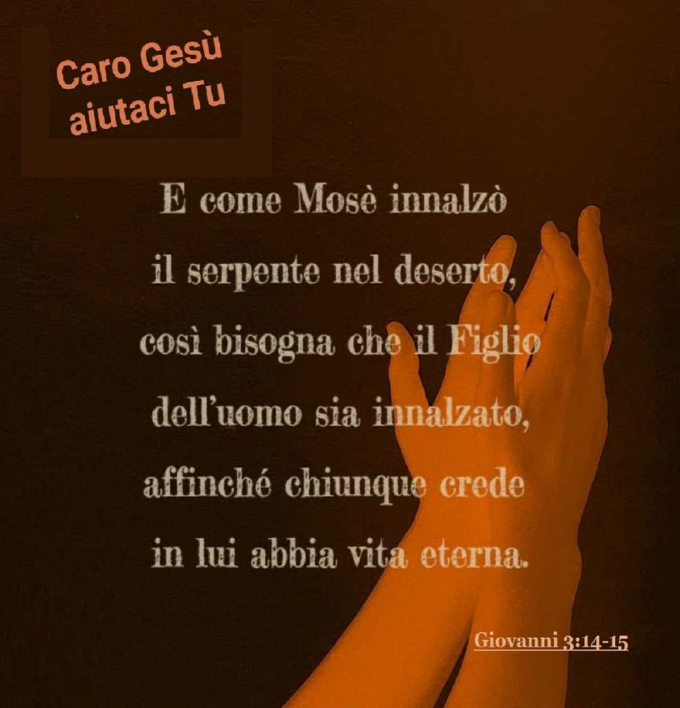 E come Mosè innalzò il serpente nel deserto, così bisogna che il Figlio dell'uomo sia innalzato, affinché chiunque crede in lui abbia vita eterna. (Giovanni 3:14-15)