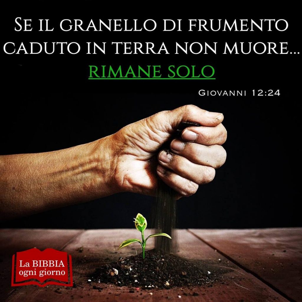 Se il granello di frumento caduto in terra non muore... rimane solo (Giovanni 12:24)