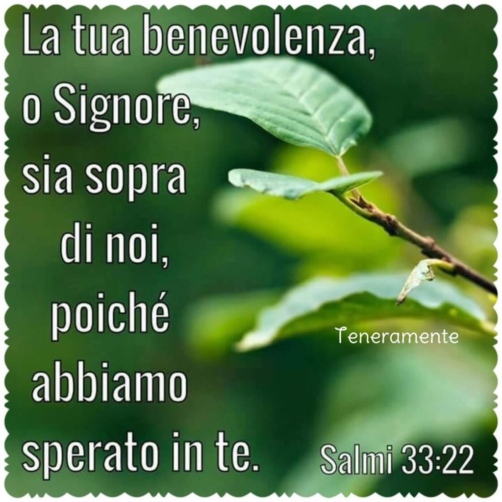 La tua benevolenza, o Signore, sia sopra di noi, poiché abbiamo sperato in te. (Salmi 33:22)