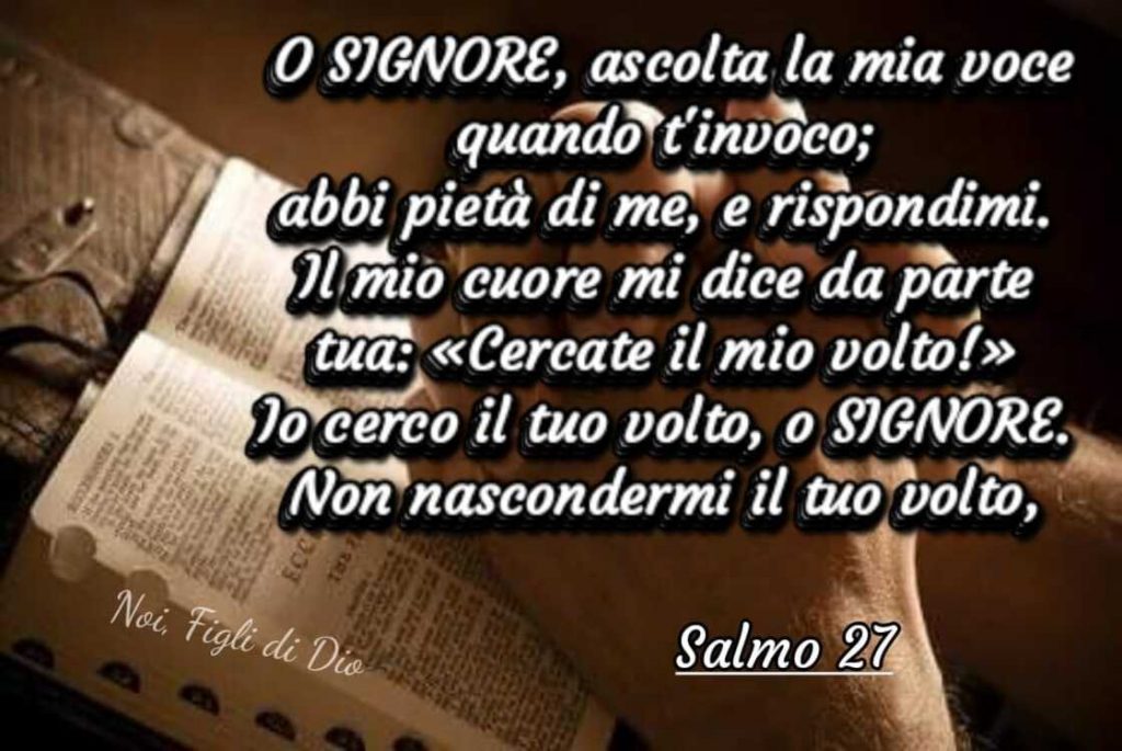 O Signore, ascolta la mia voce quando t'invoco; abbi pietà di me, e rispondimi. Il mio cuore mi dice da parte tua: "Cercate il mio volto!" Io cerco il tuo volto, o Signore. Non nascondermi il tuo volto. (Salmo 27)