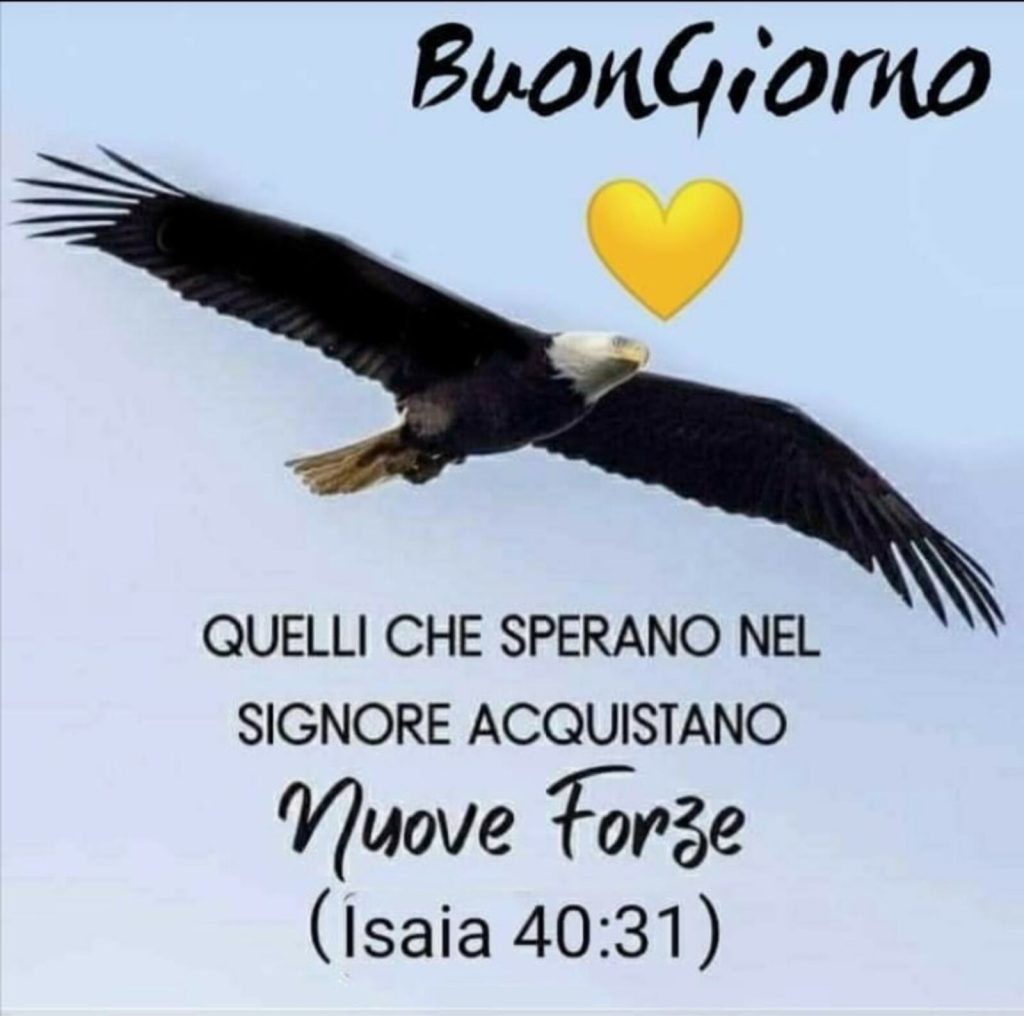 BuonGiorno. Quelli che sperano nel Signore acquistano nuove forze. (Isaia 40:31)