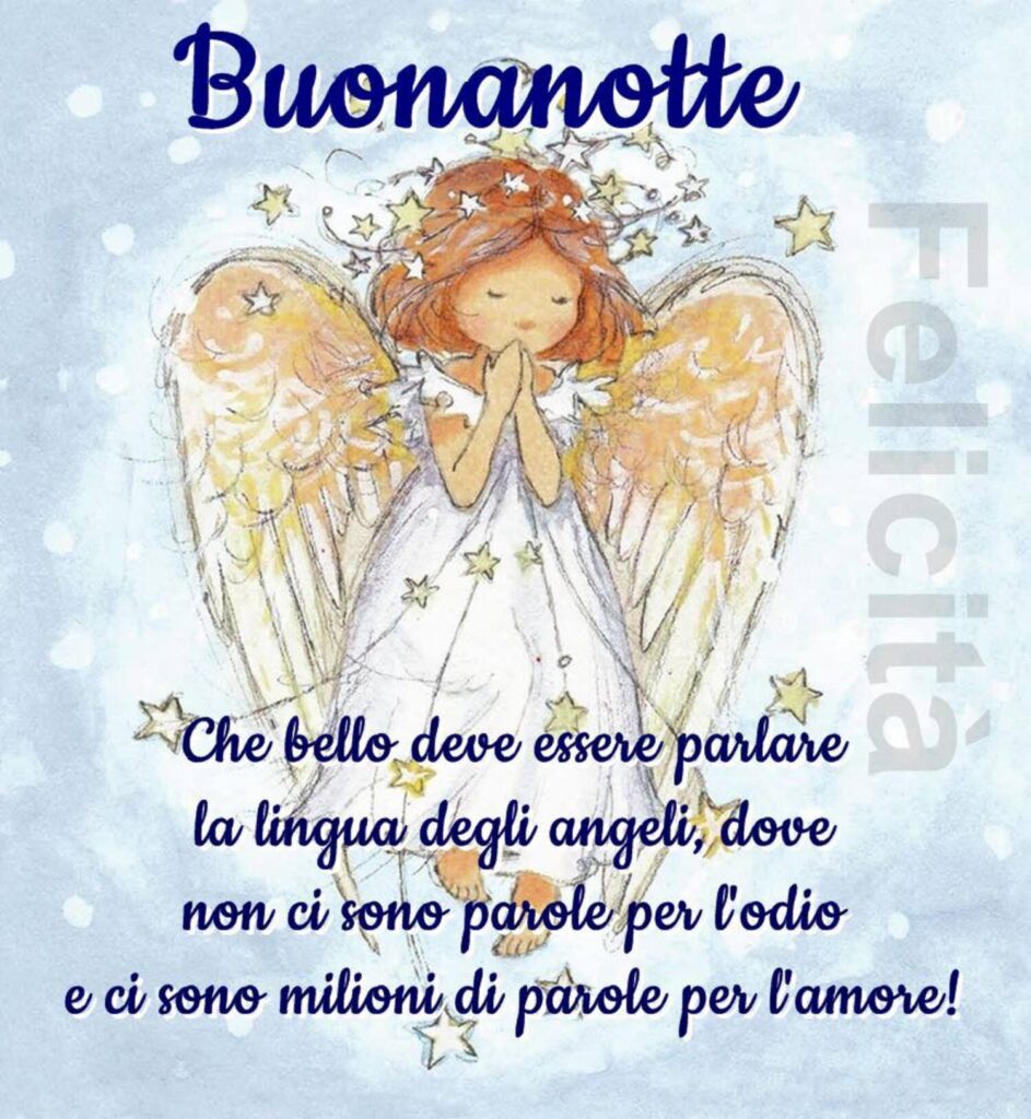 Buonanotte. Che bello deve essere parlare la lingua degli angeli, dove non ci sono parole per l'odio e ci sono milioni di parole per l'amore!